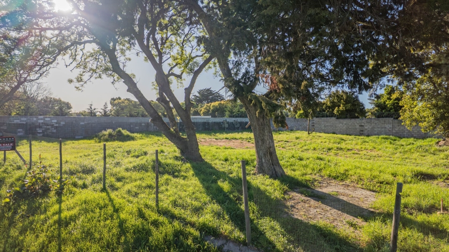 0 Bedroom Property for Sale in Belle Constantia Western Cape
